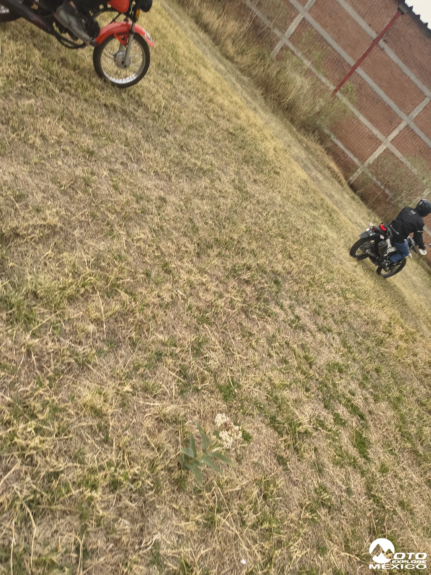 IMG 20260425 155748379 HDR